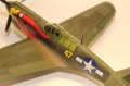 Hasegawa 1/48 -40N-5 Warhawk