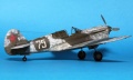 Hasegawa 1/48 P-40E -105 -    