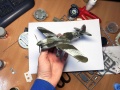 Hasegawa 1/48 P-40E -105 -    