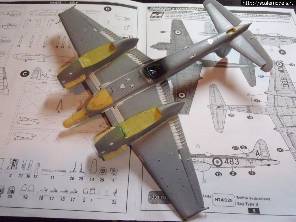 1512146258_PC010020.JPG : #1436014/ DH-103  Sea Hornet NF Mk.21  Special Hobby  1:72.  .  
