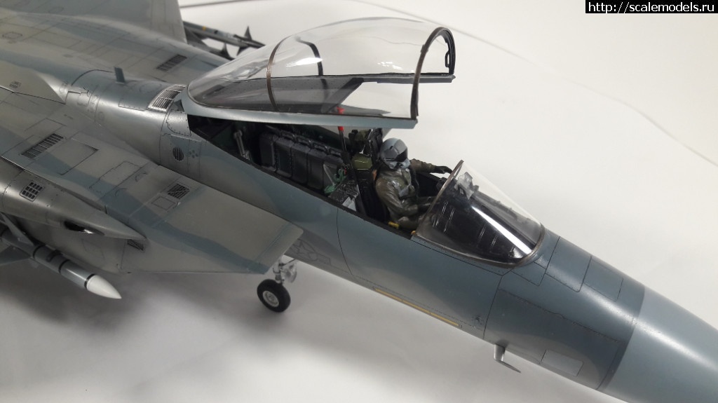 1512289653_20171203_190629.jpg : #1436382/ Tamiya 1/32 F-15C  