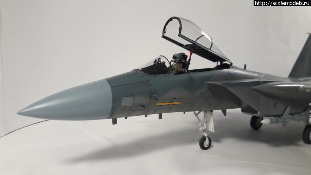 1512289661_20171203_190819.jpg : #1436382/ Tamiya 1/32 F-15C  