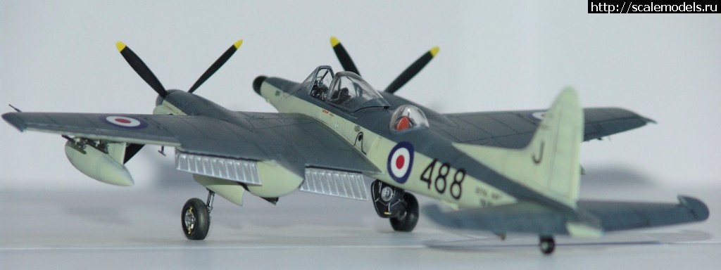 1512742754_DSC02765.JPG : #1437896/ DH-103  Sea Hornet NF Mk.21  Special Hobby  1:72.  .  