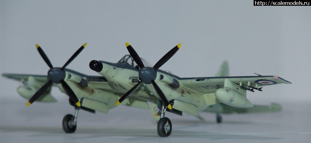 1512742828_DSC02759.JPG : #1437896/ DH-103  Sea Hornet NF Mk.21  Special Hobby  1:72.  .  