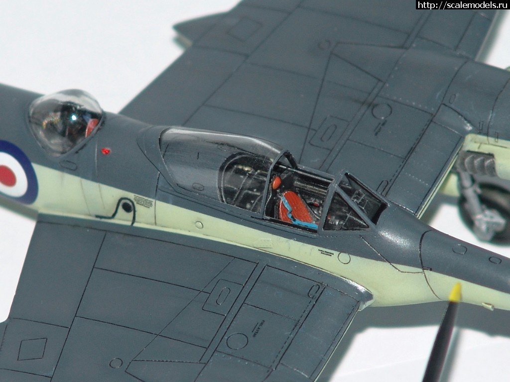 1512743042_DSC02785.JPG : #1437896/ DH-103  Sea Hornet NF Mk.21  Special Hobby  1:72.  .  