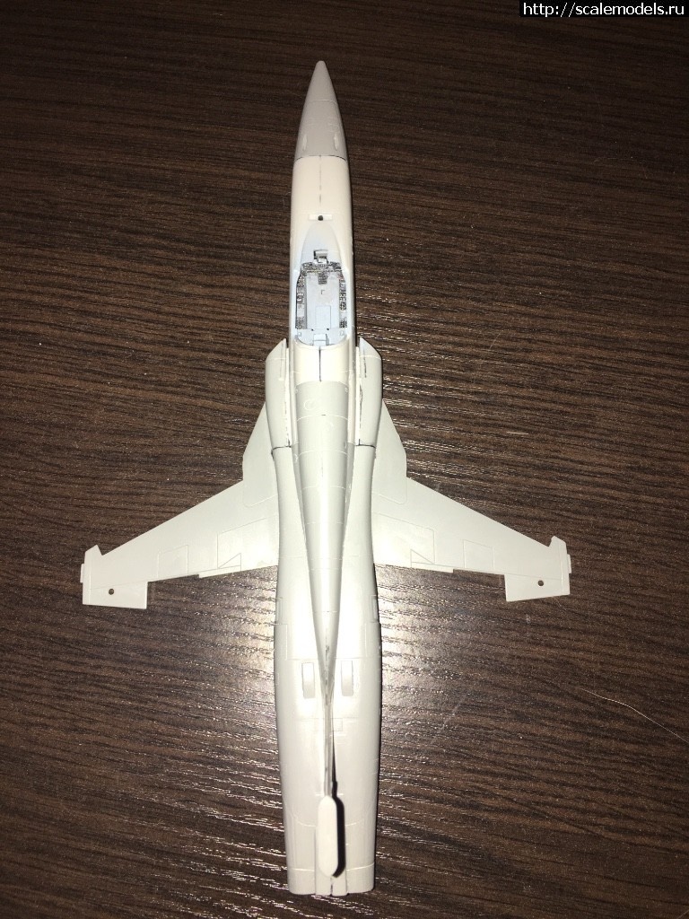 1512827041_IMG_6193.JPG : #1438115/ F-5A "Freedom Fighter" 1/48 Kinetic  