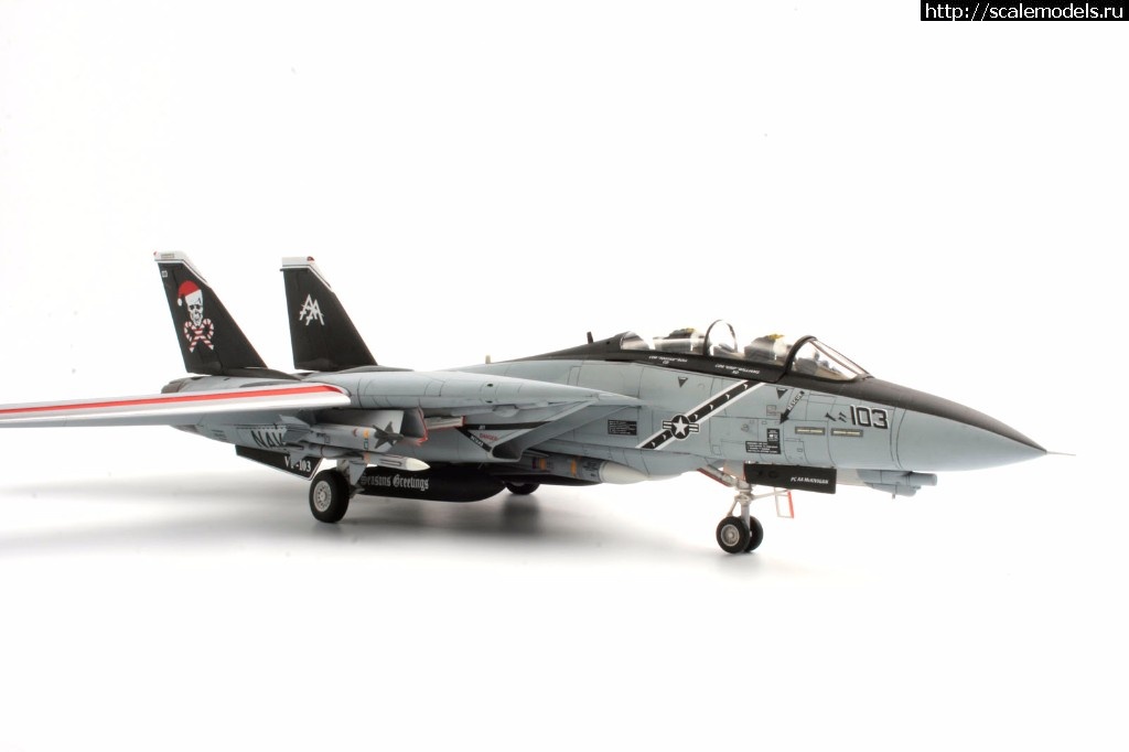 1513326883_MG_0023.jpg :  KA-models 1/72 F-14A PLUS Tomcat SantaCat  