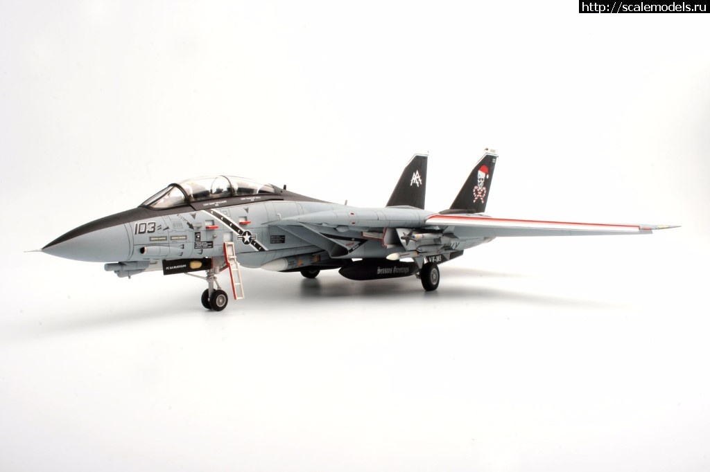 1513326884_MG_0029.jpg :  KA-models 1/72 F-14A PLUS Tomcat SantaCat  