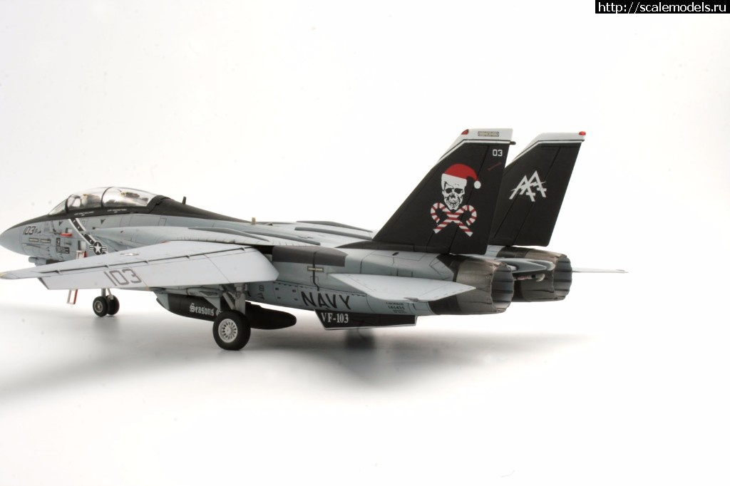 1513326884_MG_0038.jpg :  KA-models 1/72 F-14A PLUS Tomcat SantaCat  