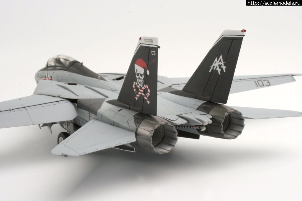 1513326885_MG_0039.jpg :  KA-models 1/72 F-14A PLUS Tomcat SantaCat  