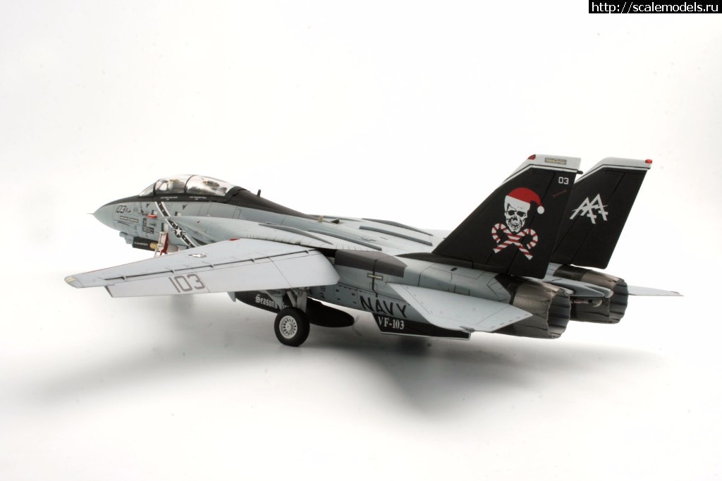 1513326885_MG_0041.jpg :  KA-models 1/72 F-14A PLUS Tomcat SantaCat  