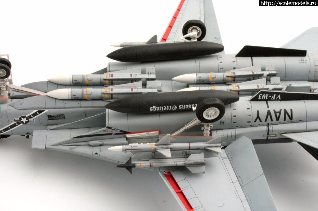 1513326885_MG_0044.jpg :  KA-models 1/72 F-14A PLUS Tomcat SantaCat  