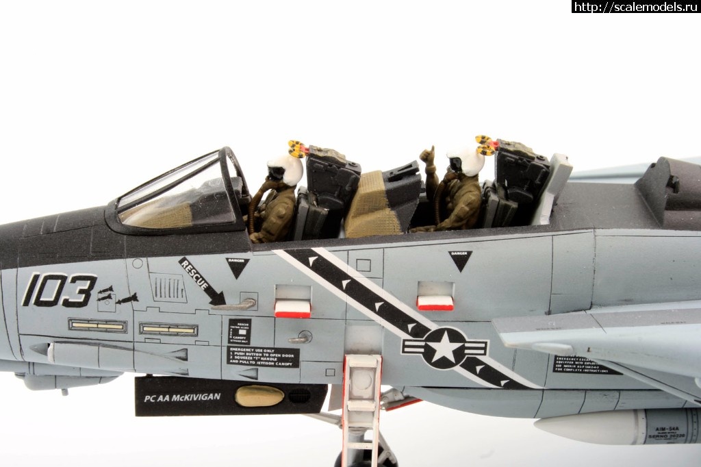 1513326886_MG_0053.jpg :  KA-models 1/72 F-14A PLUS Tomcat SantaCat  