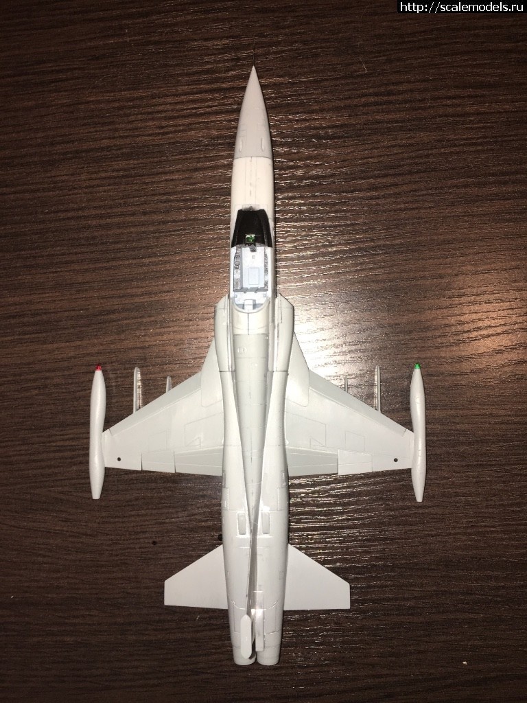 1513433187_IMG_6292.JPG : #1439845/ F-5A "Freedom Fighter" 1/48 Kinetic  