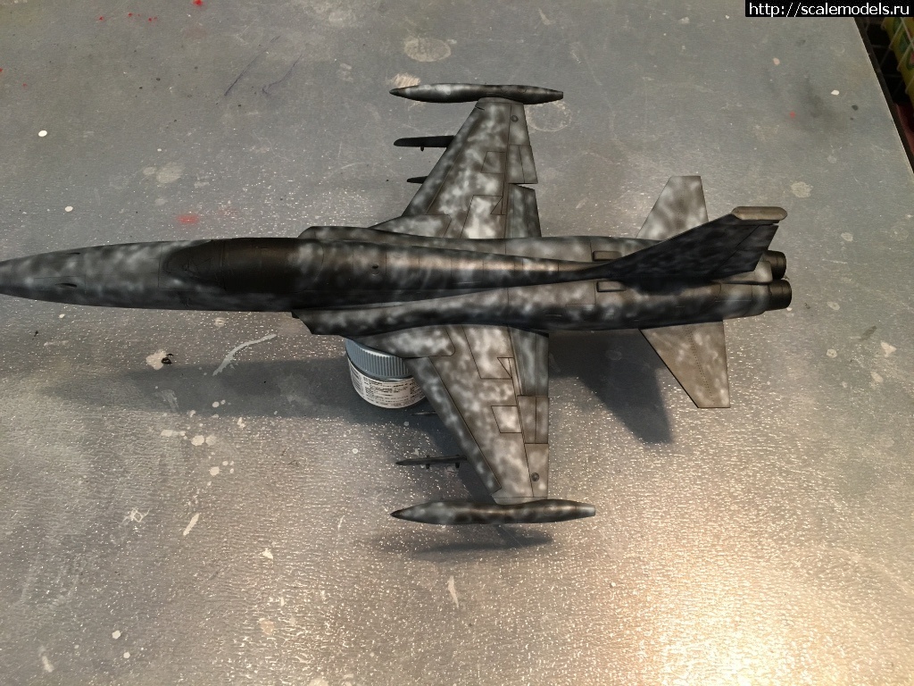 1513434548_IMG_6305.JPG : #1439845/ F-5A "Freedom Fighter" 1/48 Kinetic  