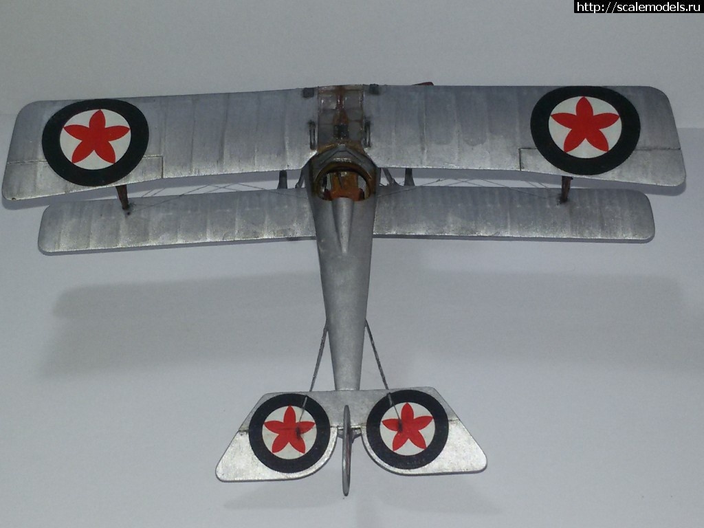 1513675322_20171219_110551.jpg : #1440457/ Nieuport-21 1/48 Eduard   