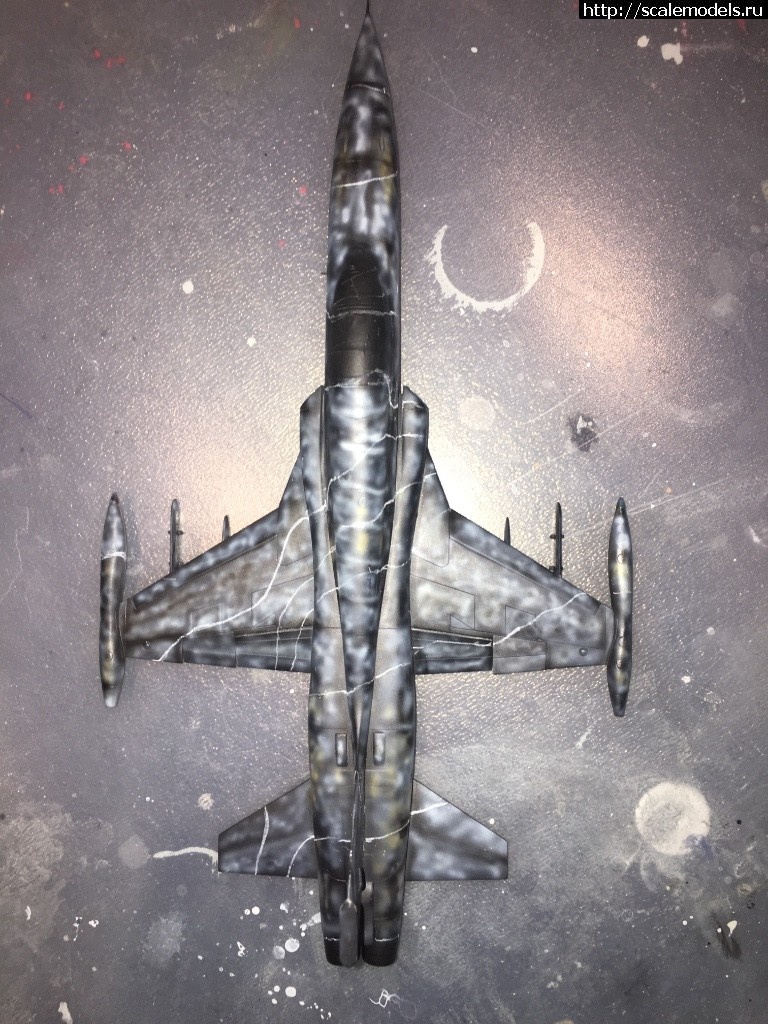 1513858423_IMG_6367.JPG : #1441031/ F-5A "Freedom Fighter" 1/48 Kinetic  