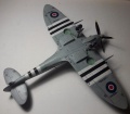 ARK models/ICM 1/48 Spitfire MK IX