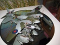 Tamiya 1/32 Mosquto - 