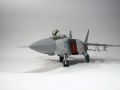 Kitty Hawk 1/48 -25