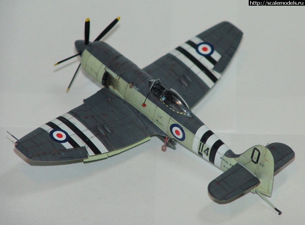 1515261060_DSC02827.JPG : #1444676/ Hawker Sea Fury FB.11      Trumpeter   1:72..  