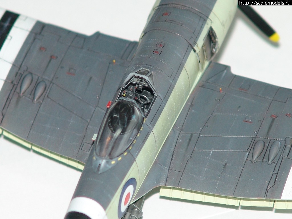 1515261295_DSC02846.JPG : #1444676/ Hawker Sea Fury FB.11      Trumpeter   1:72..  