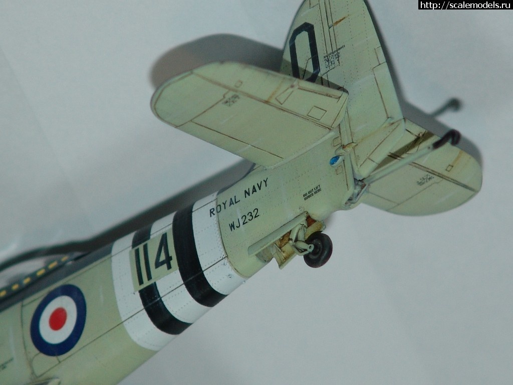 1515261391_DSC02863.JPG : #1444676/ Hawker Sea Fury FB.11      Trumpeter   1:72..  