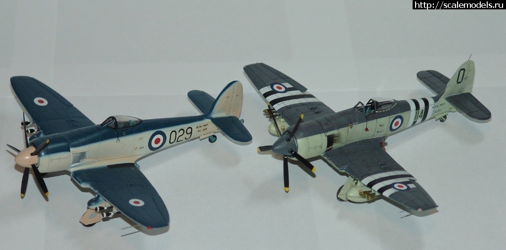 1515261515_DSC02877.JPG : #1444676/ Hawker Sea Fury FB.11      Trumpeter   1:72..  