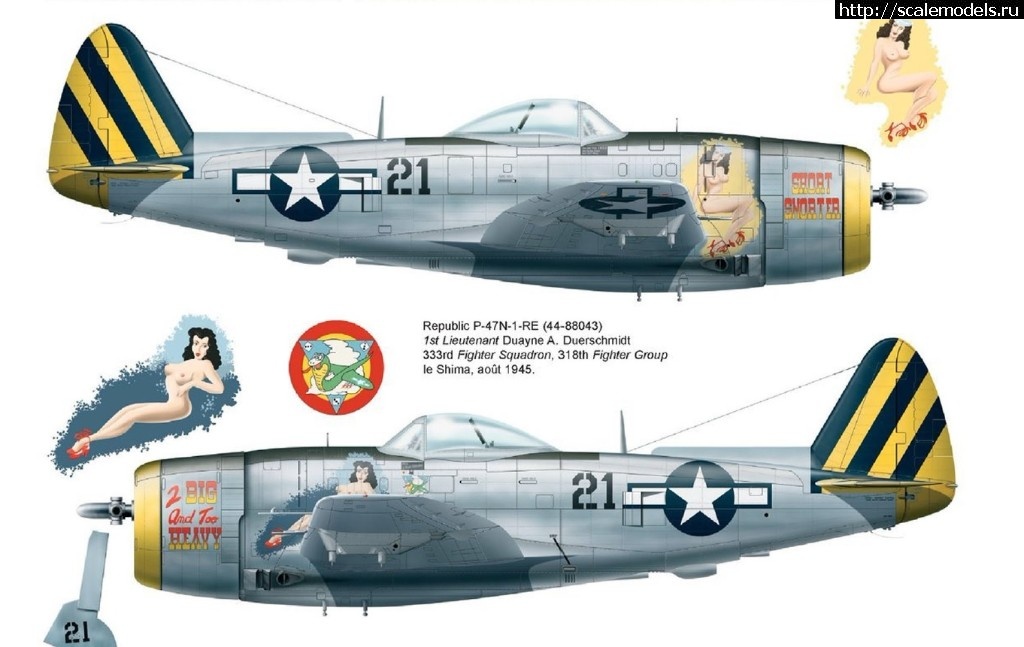 1516304171_47.jpg : #1448527/ P-47N     