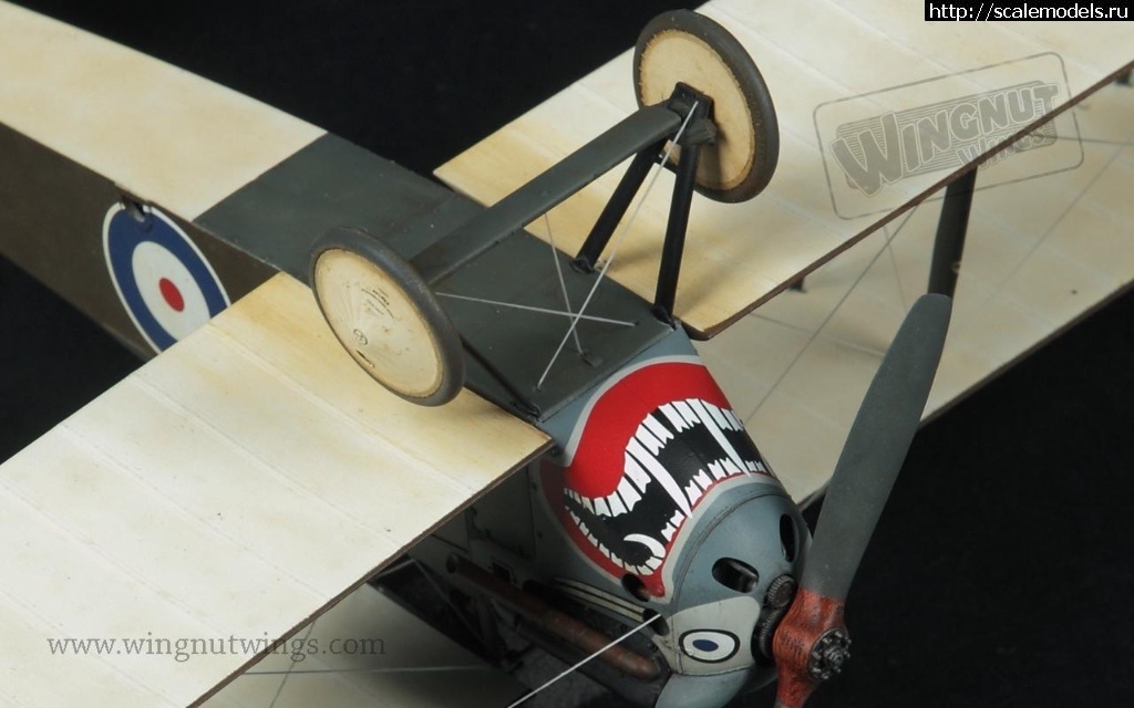 1516757870_32073-1-32-Sopwith-Dolphin---Brett-Sharman-NZ-detail-b-12-jpg.jpg : #1449898/ Sopwith 5F1 Dolphin 1/48 Copper State Models  