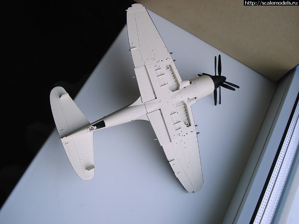 1517116090_DSC06236.JPG : #1451020/ trumpeter 1/48 Wyvern s4  .   