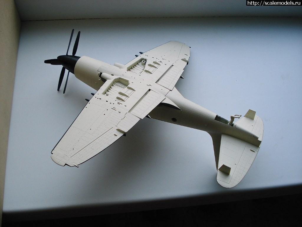 1517116105_DSC06237.JPG : #1451020/ trumpeter 1/48 Wyvern s4  .   