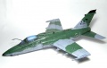 Kinetic 1/48 AMX