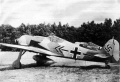 Eduard 1/48 Fw 190A-8