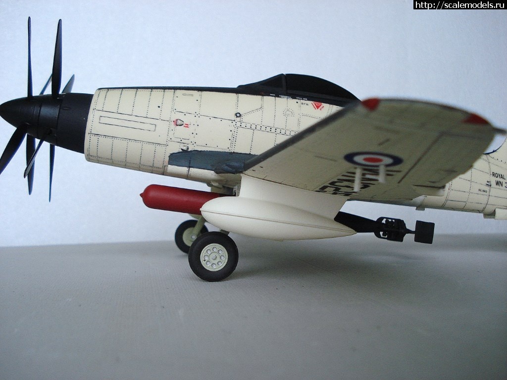 1517851117_DSC06929.JPG : #1453647/ trumpeter 1/48 Wyvern s4  .   