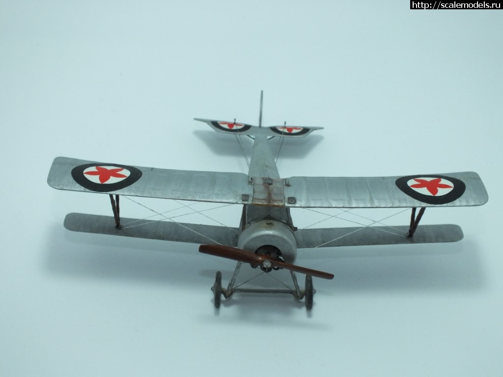 1518424716_DSCF4642.JPG : #1455339/ Nieuport-21 1/48 Eduard   