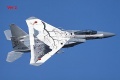 :    F-15J EAGLE (Tamiya 1/48)