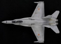 Kinetic 1/48 EF-18A Tigermeet