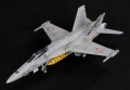 Kinetic 1/48 EF-18A Tigermeet