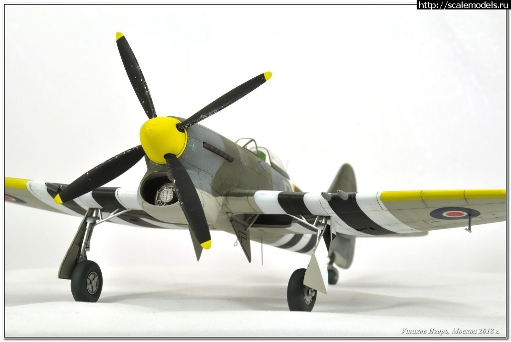 1521412323_1520778377_DSC_4254_00001.jpg :     -  WWII 1/48  