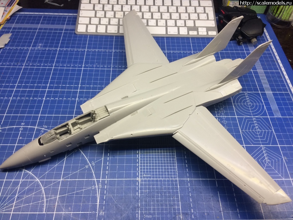 1521648178_IMG_6375.jpg : #1466088/ F-14B Tomcat 1/48 Hasegawa - !  