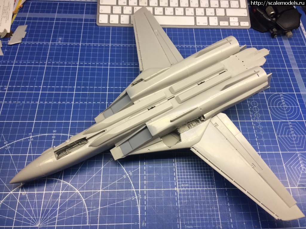 1521648179_IMG_6376.jpg : #1466330/ F-14B Tomcat 1/48 Hasegawa - !  