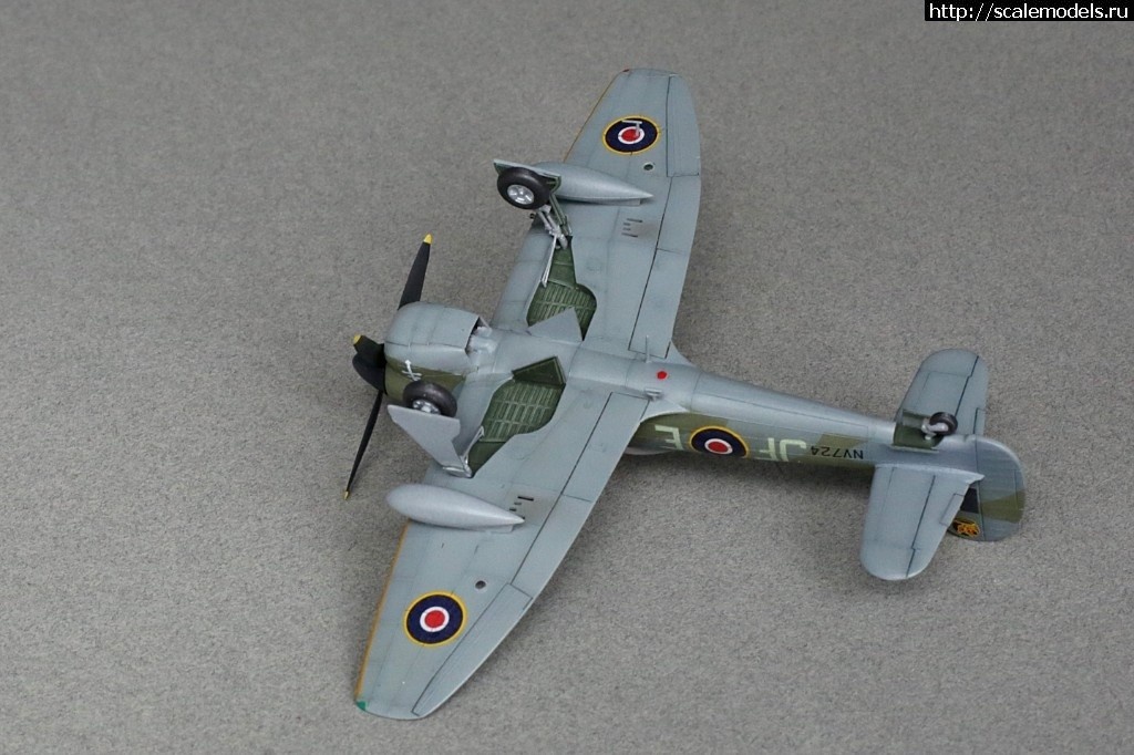 1521819795_1496600858_235B9311.jpg :     -  Hawker 1/72  