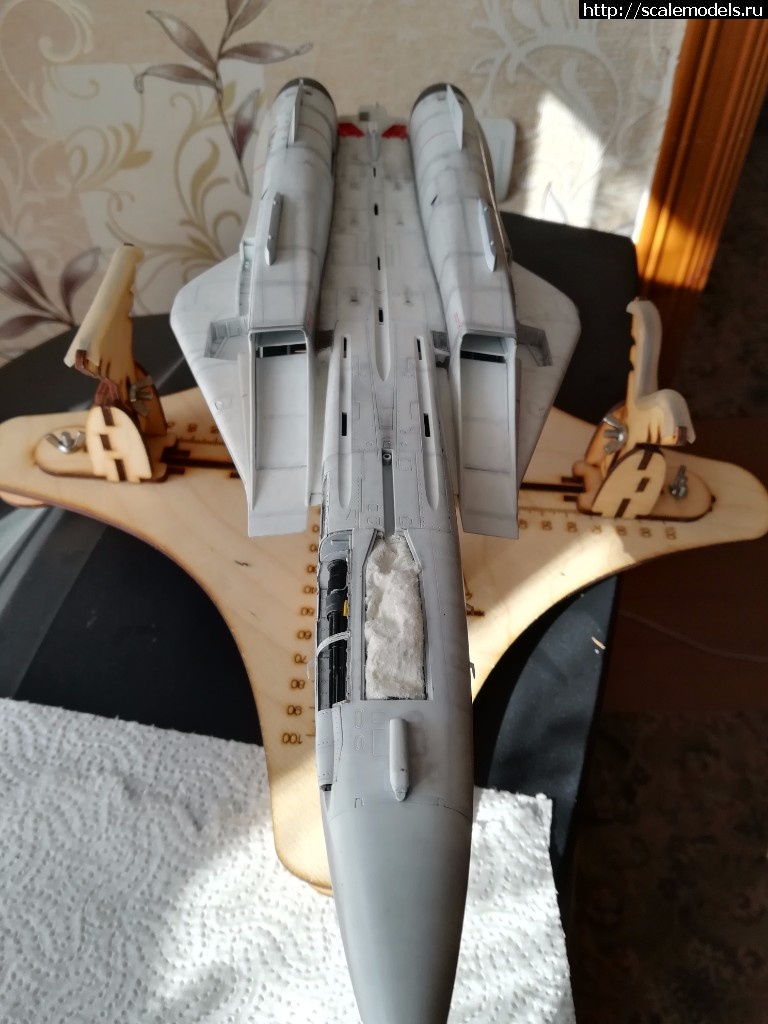 1522487612_IMG_20180331_114921.jpg : #1468521/ F-14  1/48 Hobby Boss "!!!"  