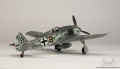 Hasegawa 1/72 Focke-Wulf FW 190A-8 ANTON (From Beethoven device)