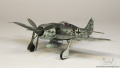 Hasegawa 1/72 Focke-Wulf FW 190A-8 ANTON (From Beethoven device)