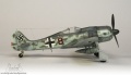 Hasegawa 1/72 Focke-Wulf FW 190A-8 ANTON (From Beethoven device)