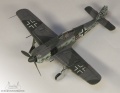 Hasegawa 1/72 Focke-Wulf FW 190A-8 ANTON (From Beethoven device)