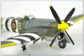 Eduard 1/48 Hawker Tempest Mk.V 