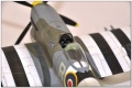 Eduard 1/48 Hawker Tempest Mk.V 